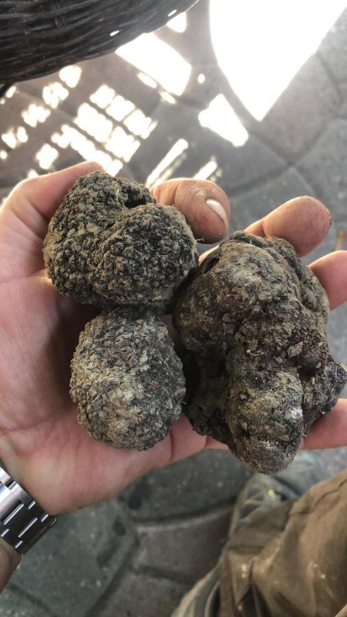 La Porta Nel Giardino Apartman Asti Kültér fotó