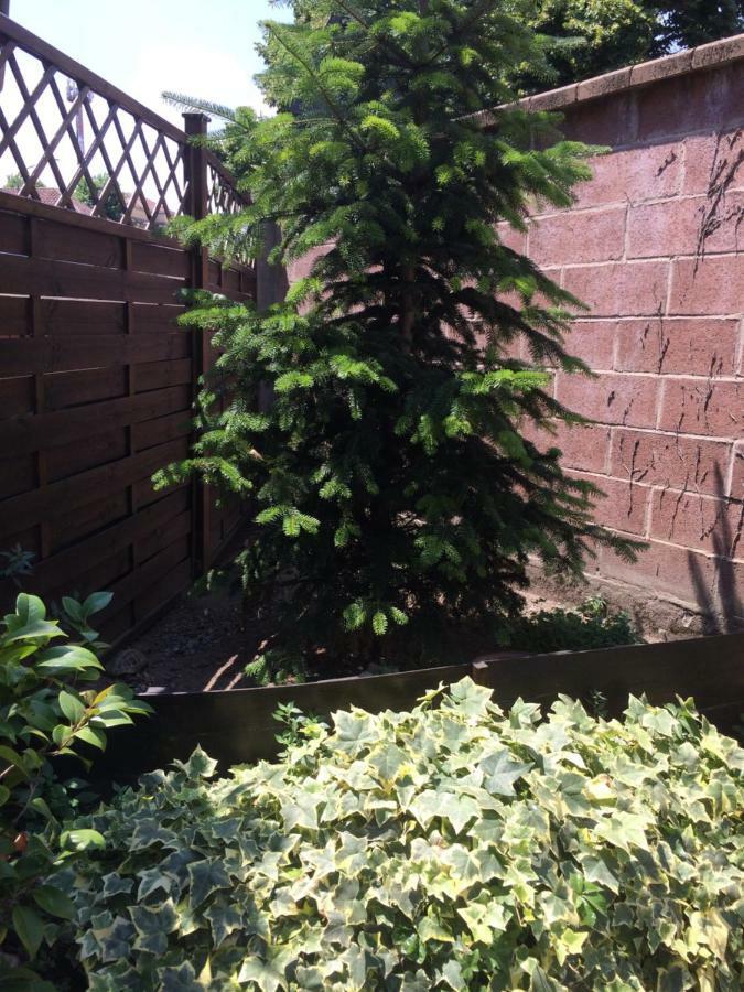 La Porta Nel Giardino Apartman Asti Kültér fotó