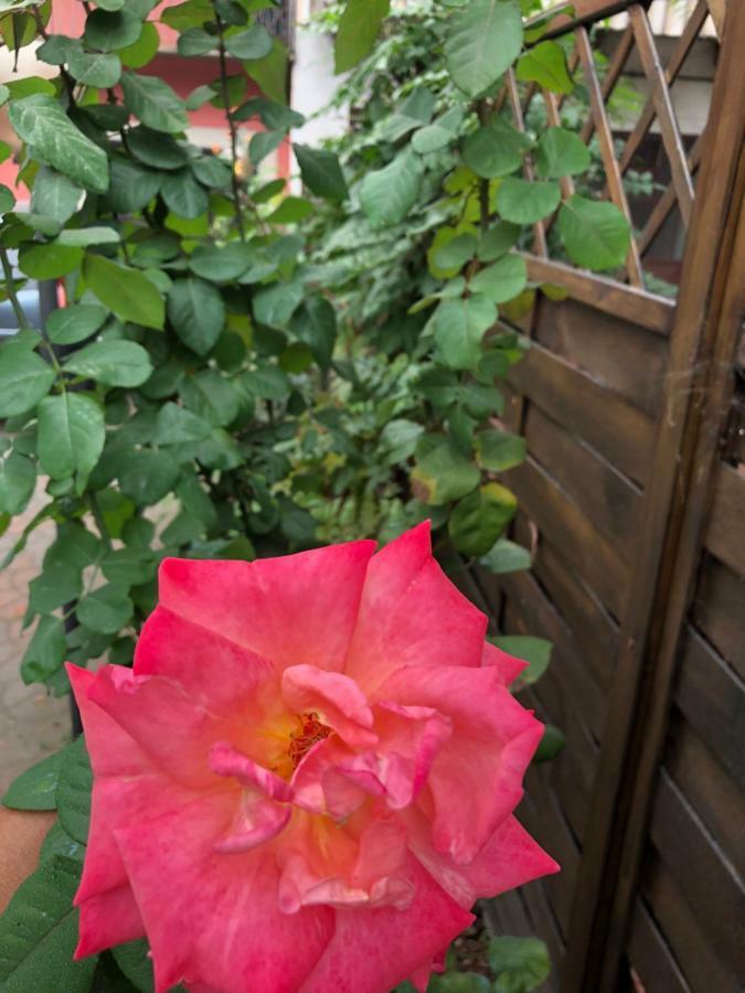 La Porta Nel Giardino Apartman Asti Kültér fotó